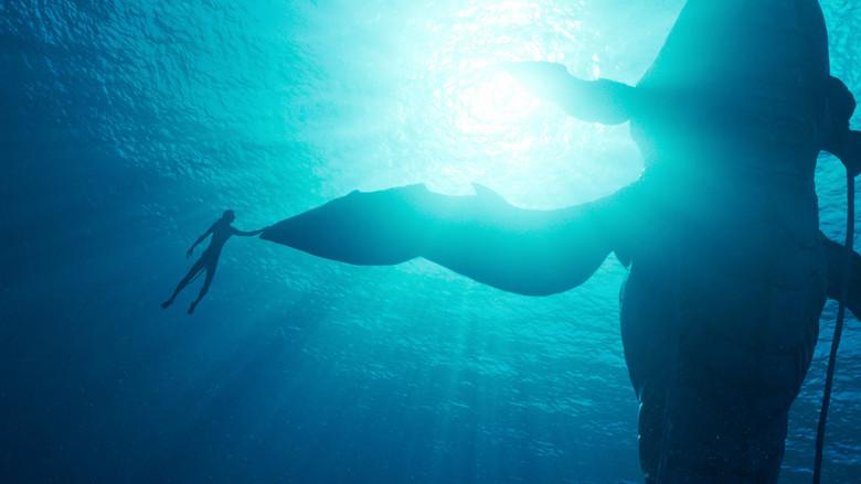 Avatar: El sentido del agua - Fondo