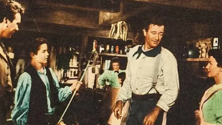 Centauros del desierto - Fondo