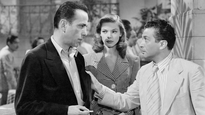 Tener y no tener - Fondo