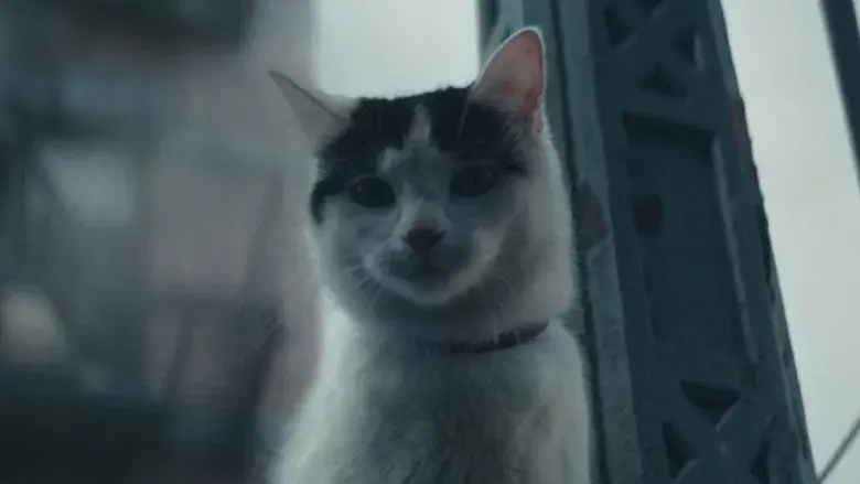 Un lugar tranquilo: Día uno - Fondo