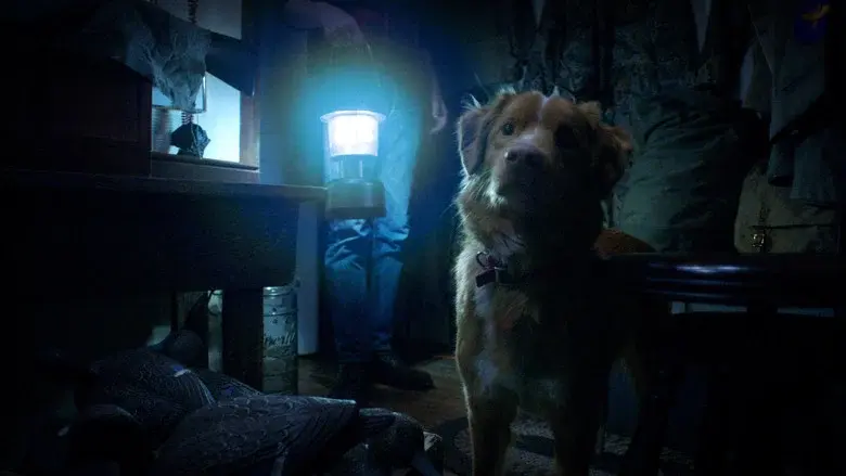 Good Boy - Fondo
