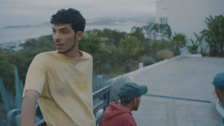 Derrière les palmiers - Fondo