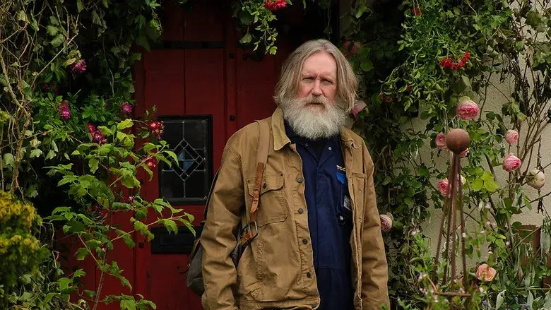 Small Prophets - Fondo