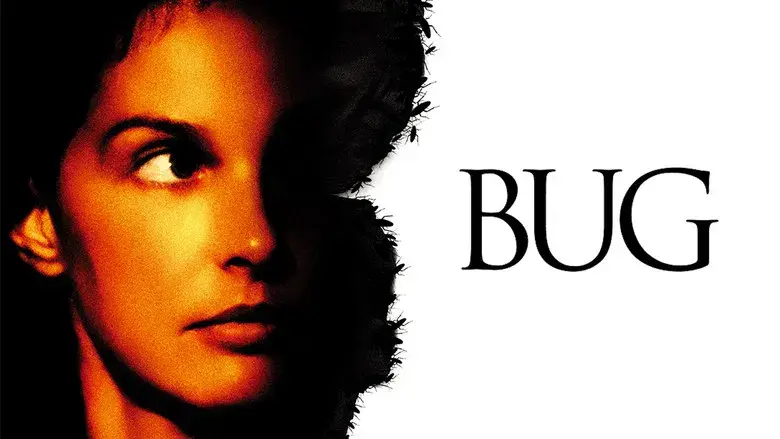 Bug - Fondo