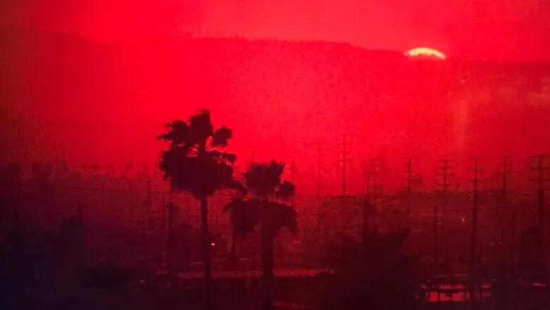 Vivir y morir en Los Ángeles - Fondo