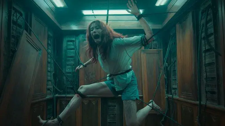 Posesión infernal: El despertar - Fondo