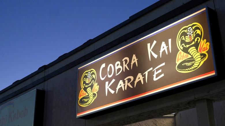 Cobra Kai - Fondo
