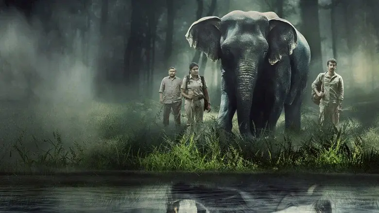 Poacher - Fondo
