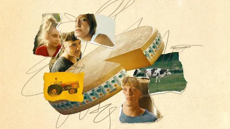 La receta perfecta - Fondo