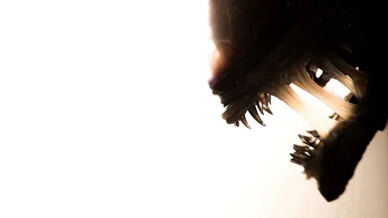 Alien: Romulus - Fondo