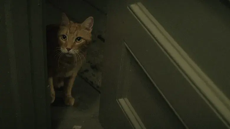 tick, tick... BOOM! - Fondo