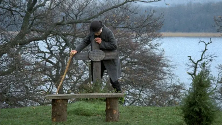 La nueva tierra - Fondo