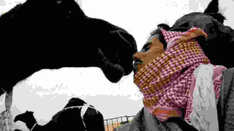 Diamantes en bruto - Fondo