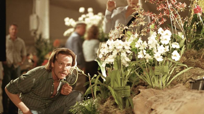 Adaptation. El ladrón de orquídeas - Fondo