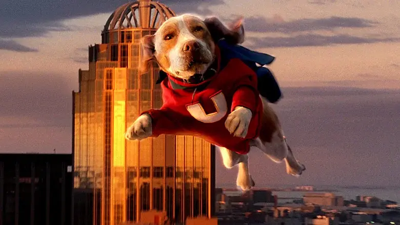 Superdog - Fondo