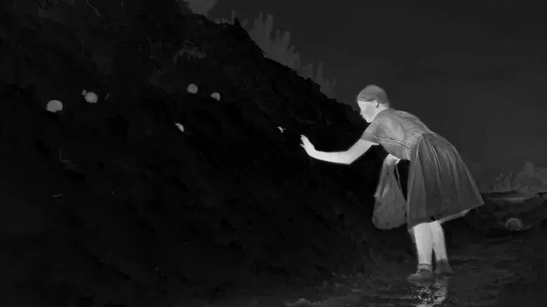 La zona de interés - Fondo