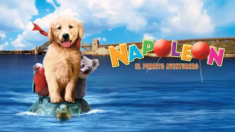 Napoleón, el perrito aventurero - Fondo
