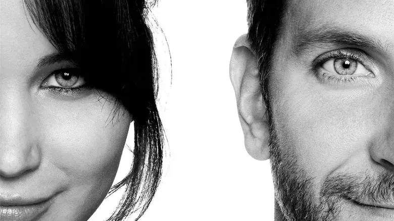 El lado bueno de las cosas - Fondo