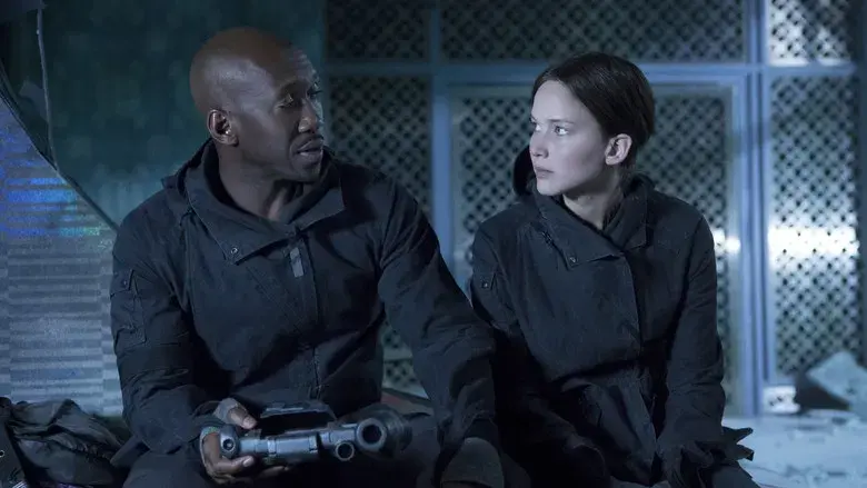 Los Juegos del Hambre: Sinsajo - Parte 2 - Fondo