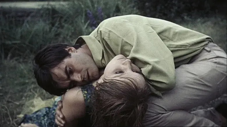 La felicidad - Fondo