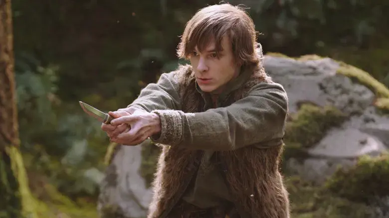 Cómo entrenar a tu dragón - Fondo