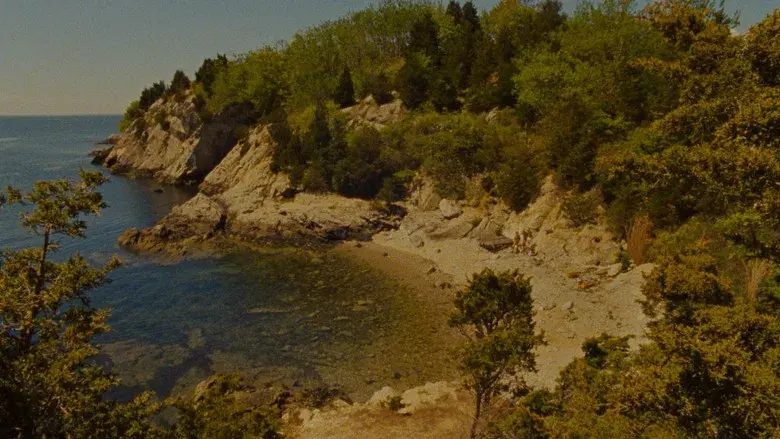 Moonrise Kingdom - Fondo