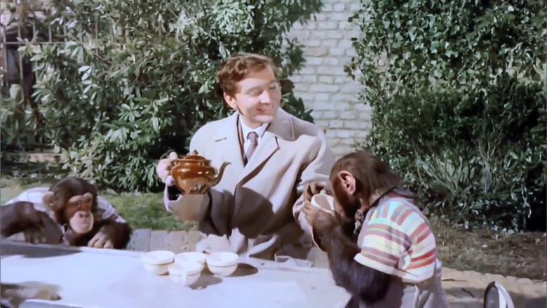 Carry On Regardless - Fondo