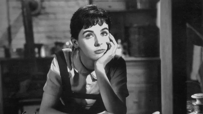 El diario de Ana Frank - Fondo