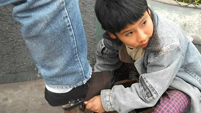 La vida en un día - Fondo