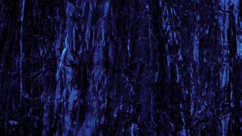 Terciopelo azul - Fondo