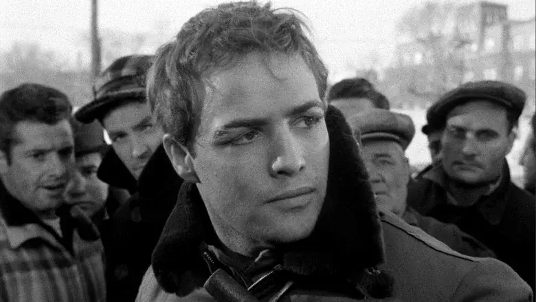 La ley del silencio - Fondo