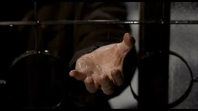 Memories of Murder (Crónica de un asesino en serie) - Fondo