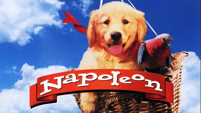 Napoleón, el perrito aventurero - Fondo