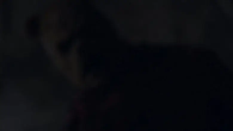 Winnie the Pooh 2: El bosque sangriento - Fondo