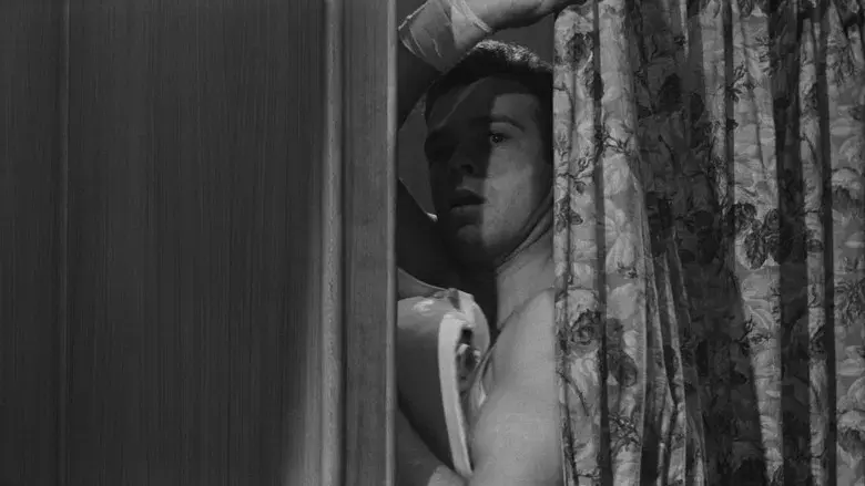 Rocco y sus hermanos - Fondo