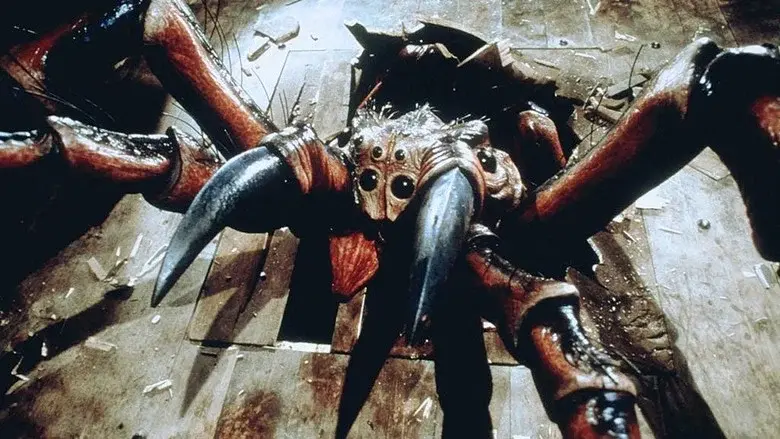 Spiders - Fondo