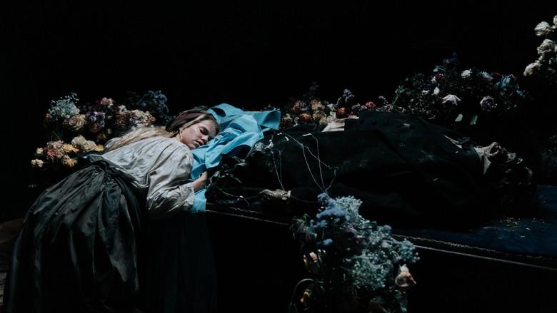 La hermanastra fea - Fondo