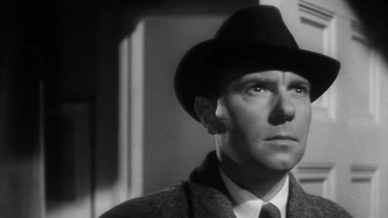 The Volunteer - Fondo