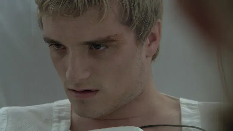 Los Juegos del Hambre: Sinsajo - Parte 2 - Fondo