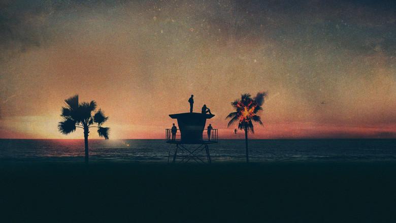 Animal Kingdom - Fondo