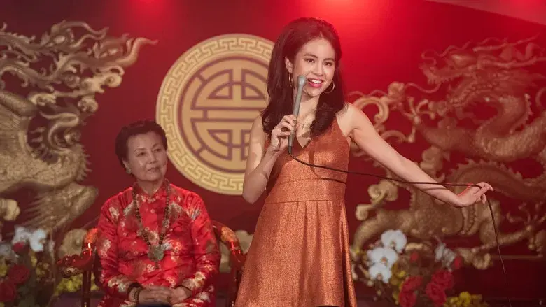 El simpatizante - Fondo