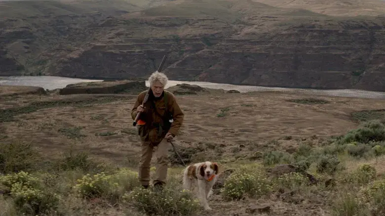 La última aventura - Fondo