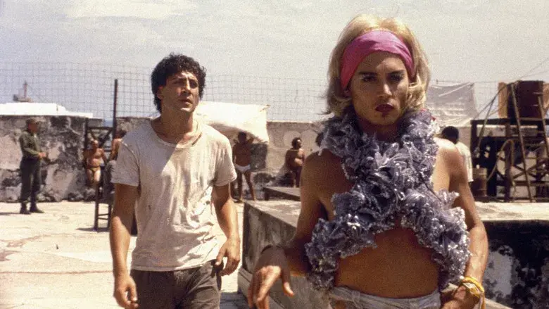 Antes que anochezca - Fondo