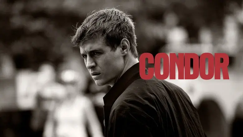 Condor - Fondo