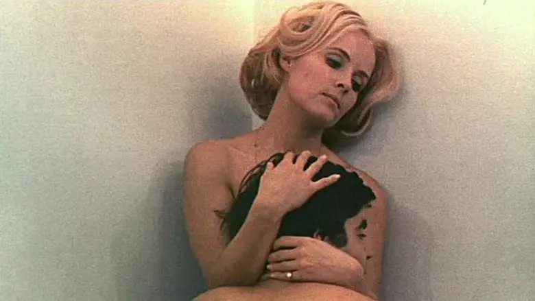 La felicidad - Fondo