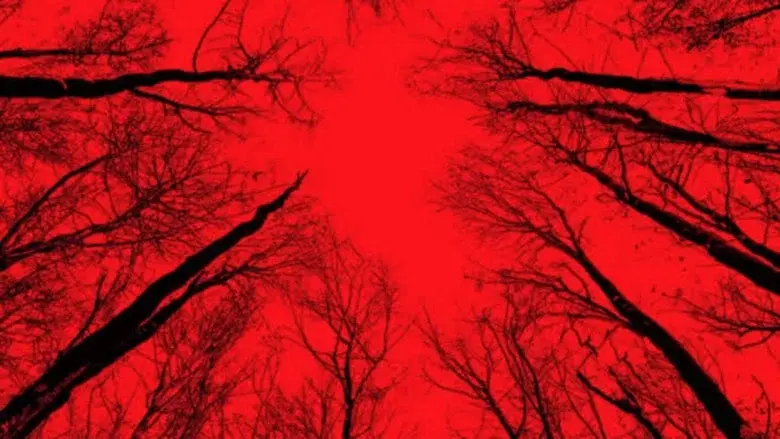 Blair Witch - Fondo