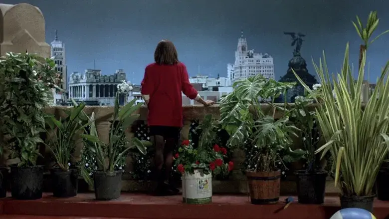 Mujeres al borde de un ataque de nervios - Fondo