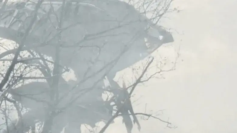 La guerra de los mundos - Fondo