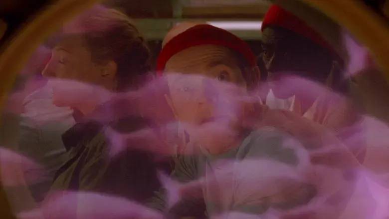 Life Aquatic - Fondo