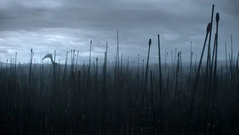 Los dinosaurios - Fondo